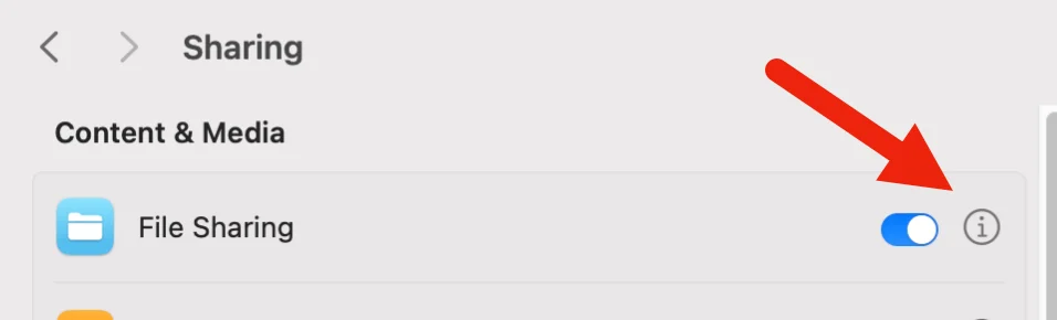 File Sharing Switch